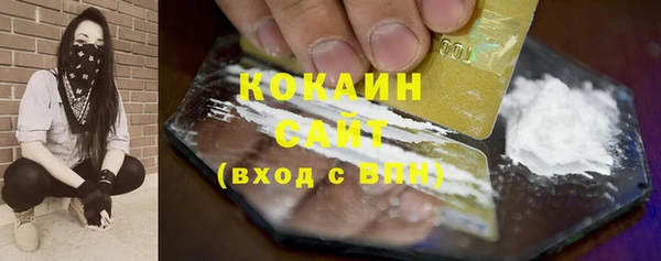 ПСИЛОЦИБИНОВЫЕ ГРИБЫ Гусь-Хрустальный