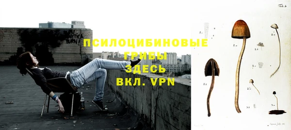 а пвп мука Гусиноозёрск