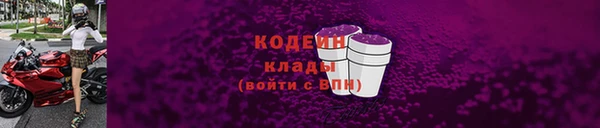 ПСИЛОЦИБИНОВЫЕ ГРИБЫ Гусь-Хрустальный