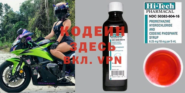 ПСИЛОЦИБИНОВЫЕ ГРИБЫ Гусь-Хрустальный
