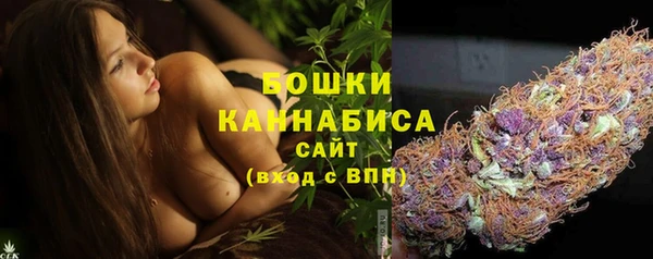 ПСИЛОЦИБИНОВЫЕ ГРИБЫ Гусь-Хрустальный