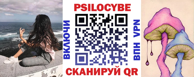 Купить  Кедровый  Псилоцибиновые грибы мицелий 